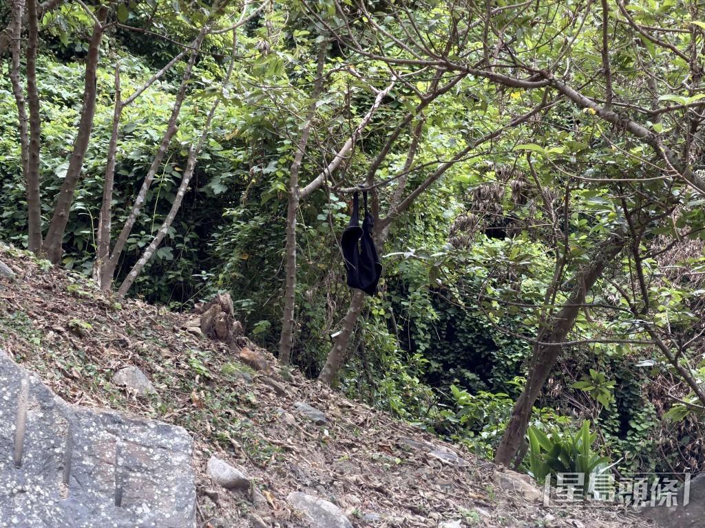 事主用上衫在樹上自縊。梁國峰攝 事主用上衫在樹上自縊。梁國峰攝