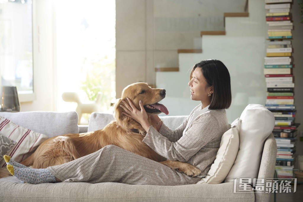 Rain在廣告中面對愛犬病危一刻，真情流露爆喊。