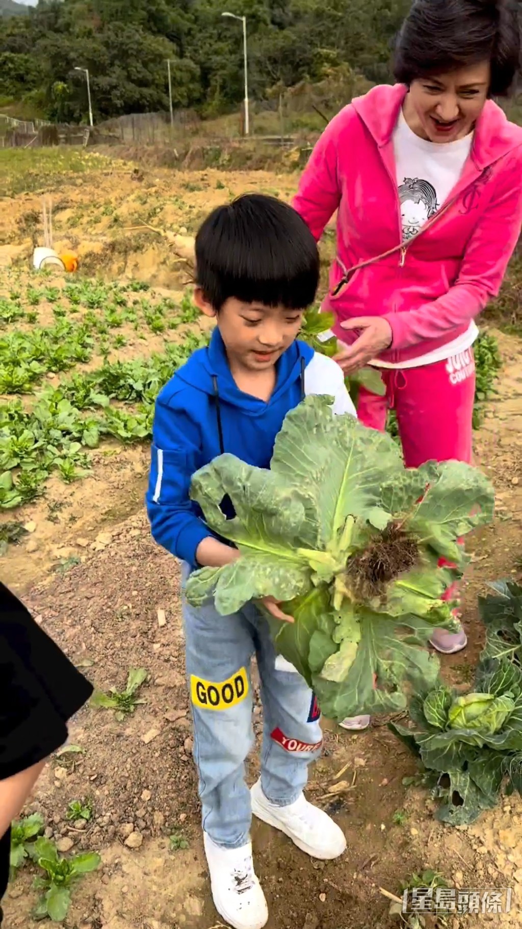 洪金寶現任太太高麗虹當時亦有現身，一身桃紅色好搶眼。