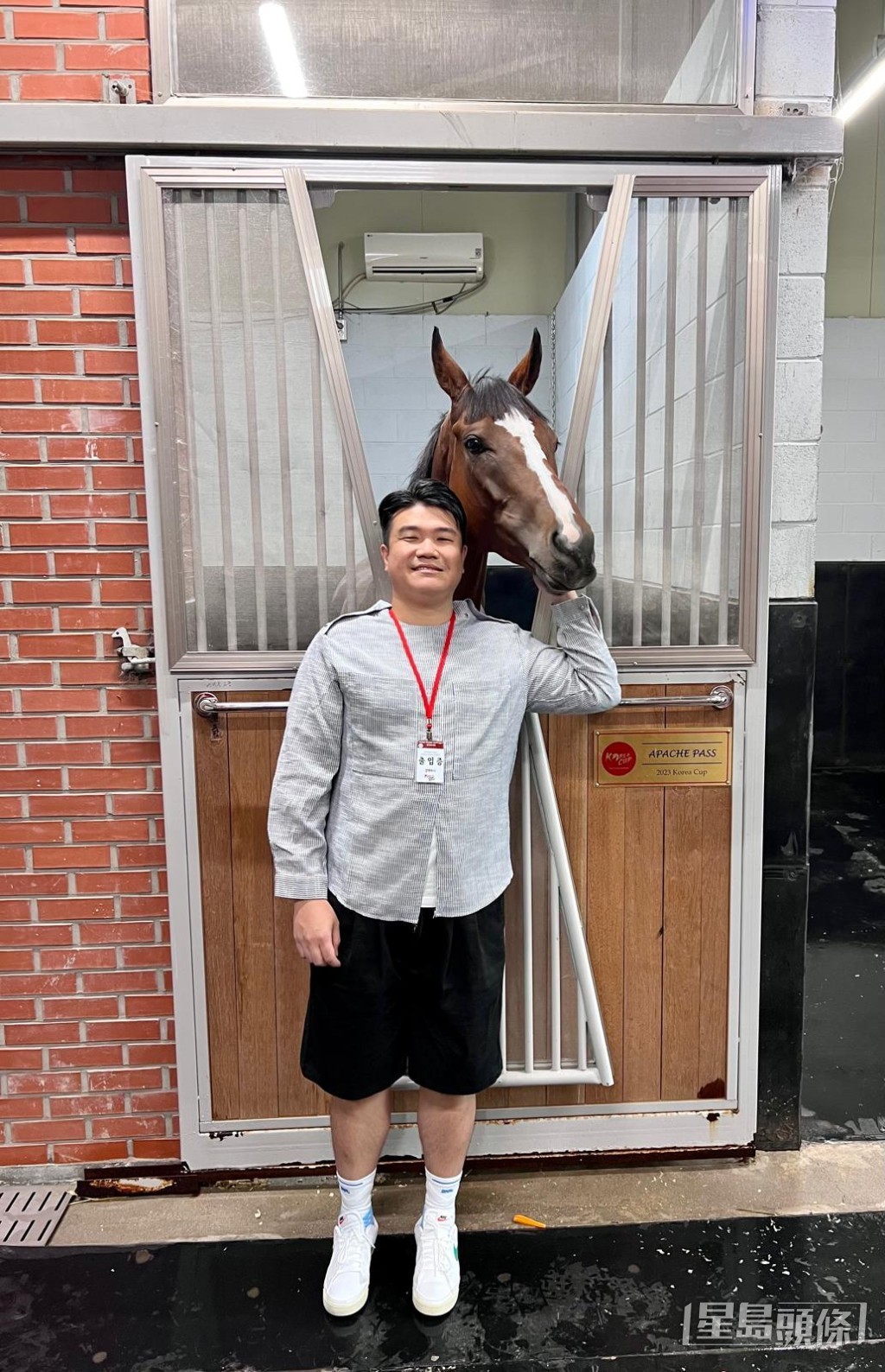 「好好心得」去年代表香港角逐三級賽韓國盃。 「好好心得」去年代表香港角逐三級賽韓國盃。