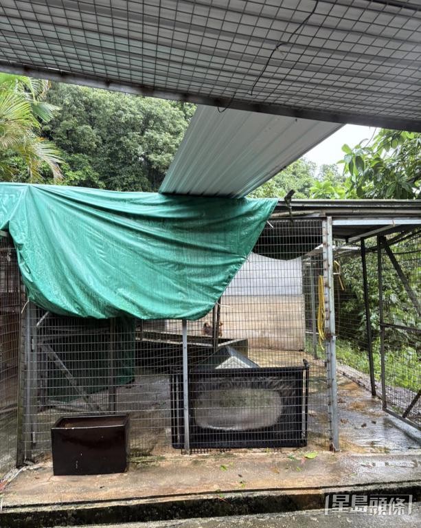 西貢流浪狗協會遭颱風「韋帕」重擊，狗舍頂部被風刮走。 受訪者提供
