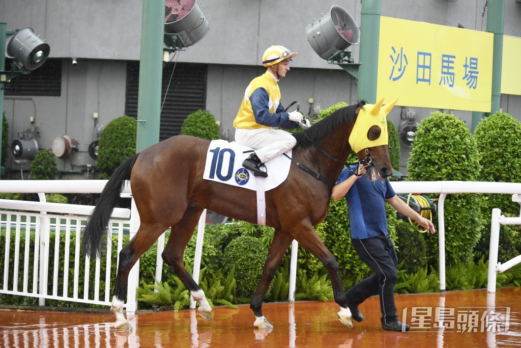 「禾道威」明晚原装配搭再跑同程。