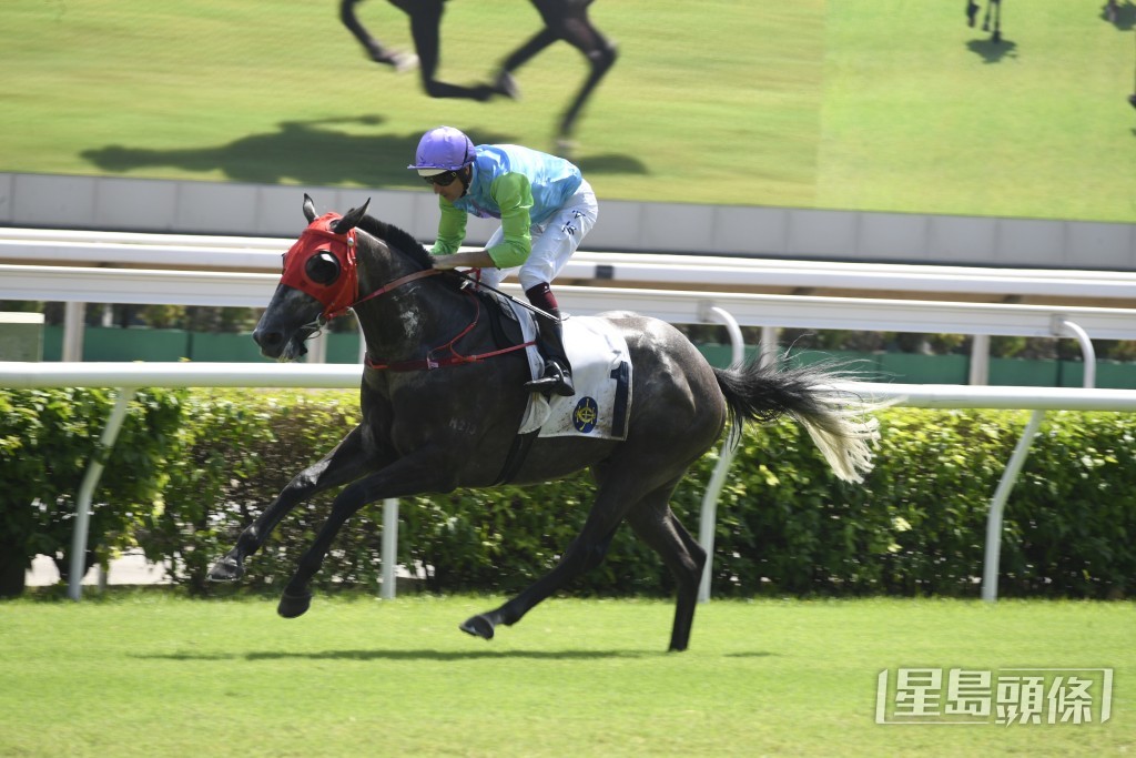 「富喜來」今仗有望再下一城，為沈集成增添一場頭馬。