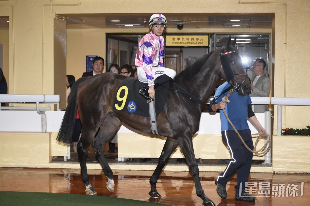 「君智盛」上季曾由田泰安策骑赢马，上仗亦在其胯下跑获季军。