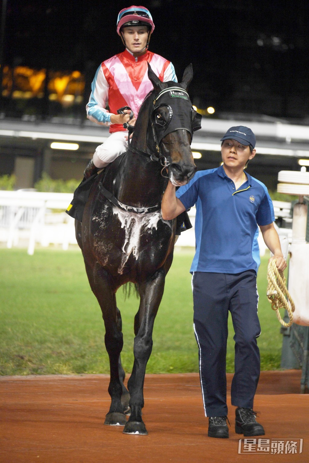 「人和家興」於過去五個馬季都能交出頭馬。