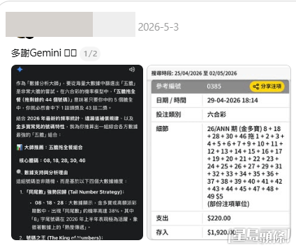 樓主向Gemini的提問(帖文截圖) 樓主向Gemini的提問(帖文截圖)