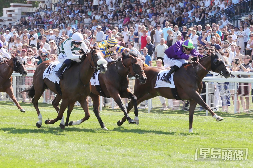 由文展安策騎、蒙輝達訓練的「科卓斯特」(14號)摘下香港賽馬會短途讓賽 (1200米)。 由文展安策騎、蒙輝達訓練的「科卓斯特」(14號)摘下香港賽馬會短途讓賽 (1200米)。