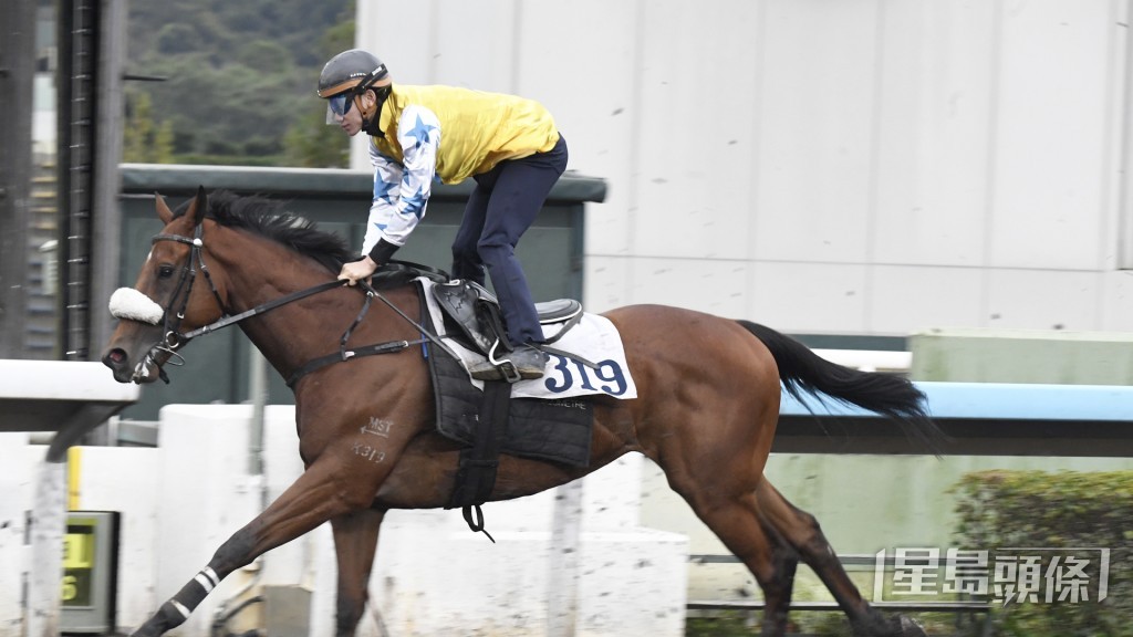 「创科群英」全程岳高头走势硬朗，新胜犹勇。