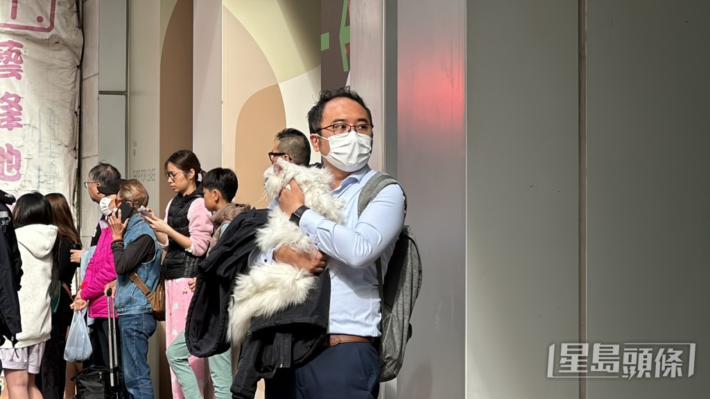 主人紧抱爱猫。