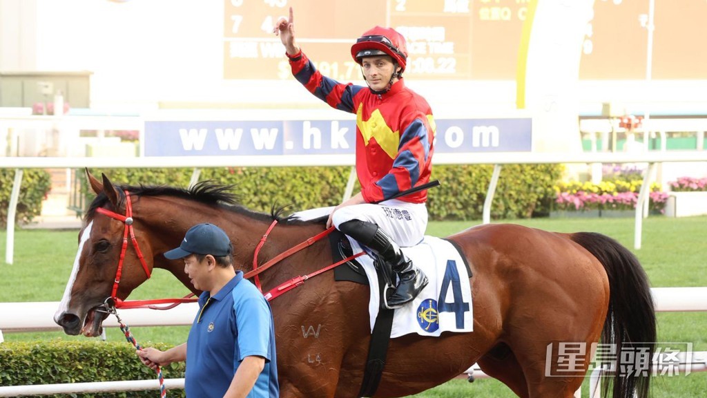 「醒目高球」自去年十一月底开始上阵，短时间内便取得三冠一季。