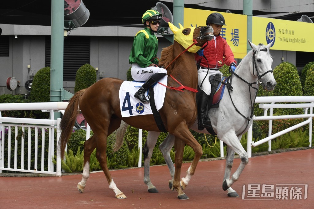  「駿彩飛馳」大前仗同程只負於頭馬「神駒馬靈」兩馬位。