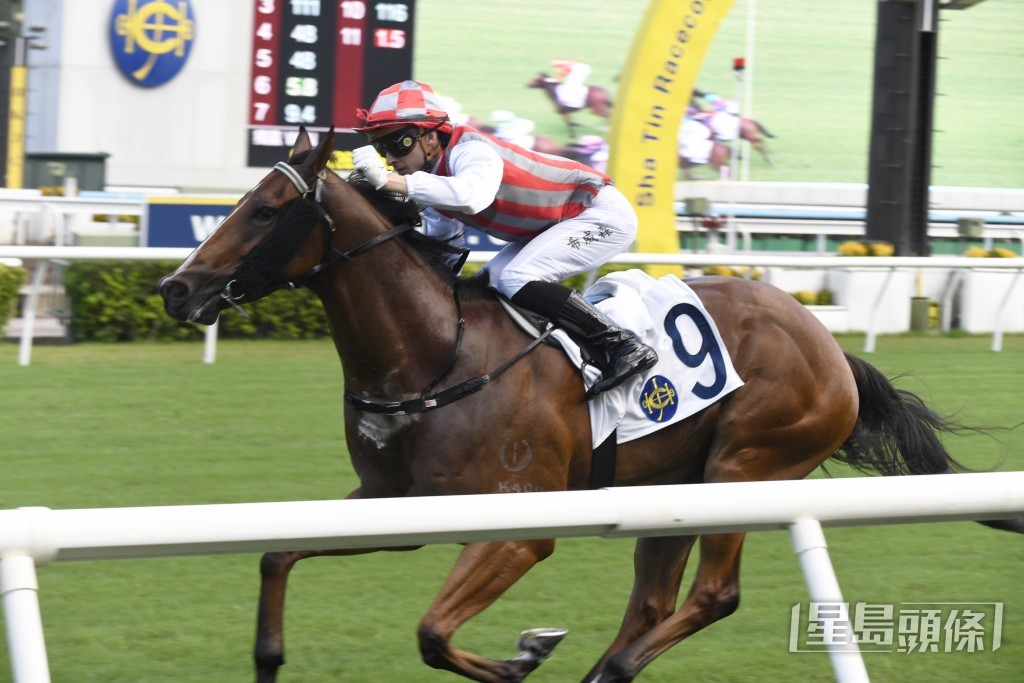 「精彩福星」前仗在同程取得一席季軍。