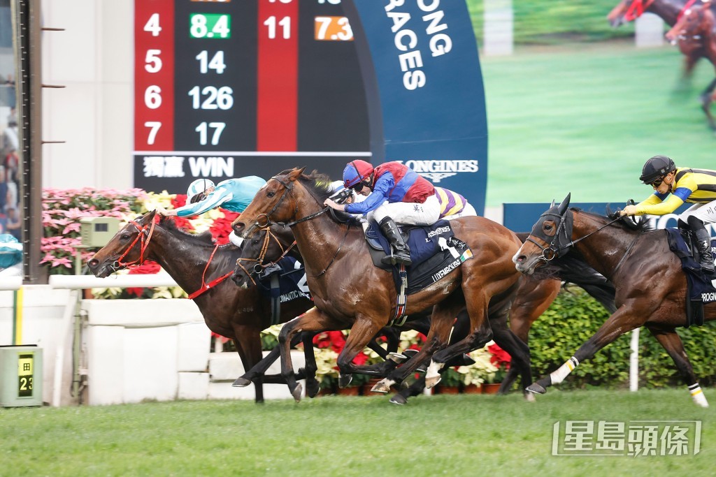 「浪漫勇士」去年蟬聯香港盃冠軍,日本代表「滂薄無比」及「先見」分列第三與第五名。 「浪漫勇士」去年蟬聯香港盃冠軍,日本代表「滂薄無比」及「先見」分列第三與第五名。