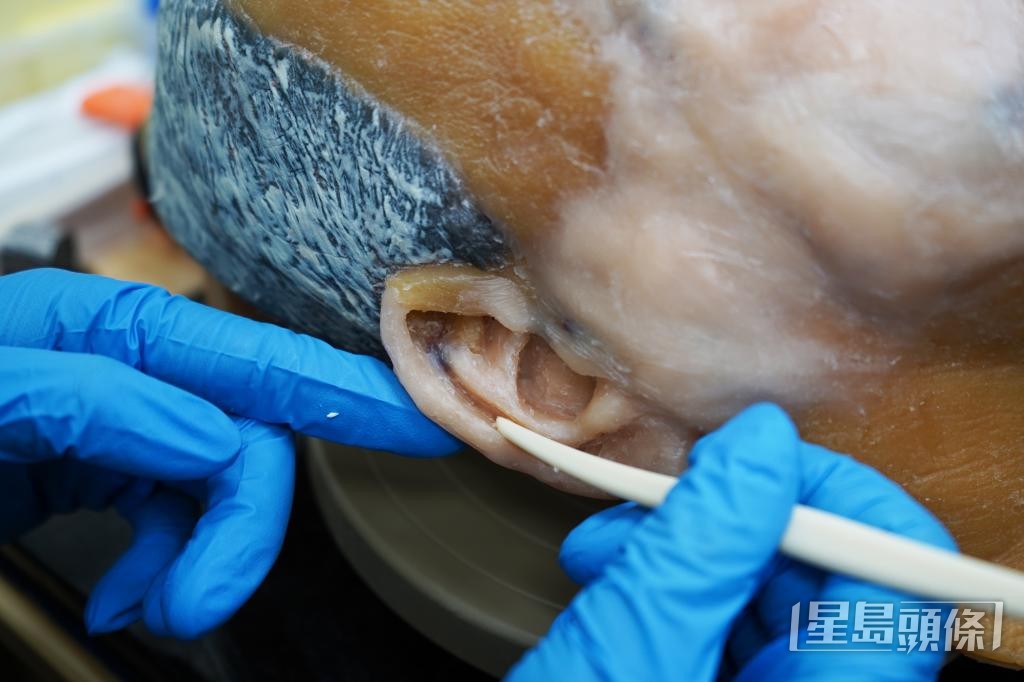 遺體修復師示範以蠟重塑右耳。 遺體修復師示範以蠟重塑右耳。