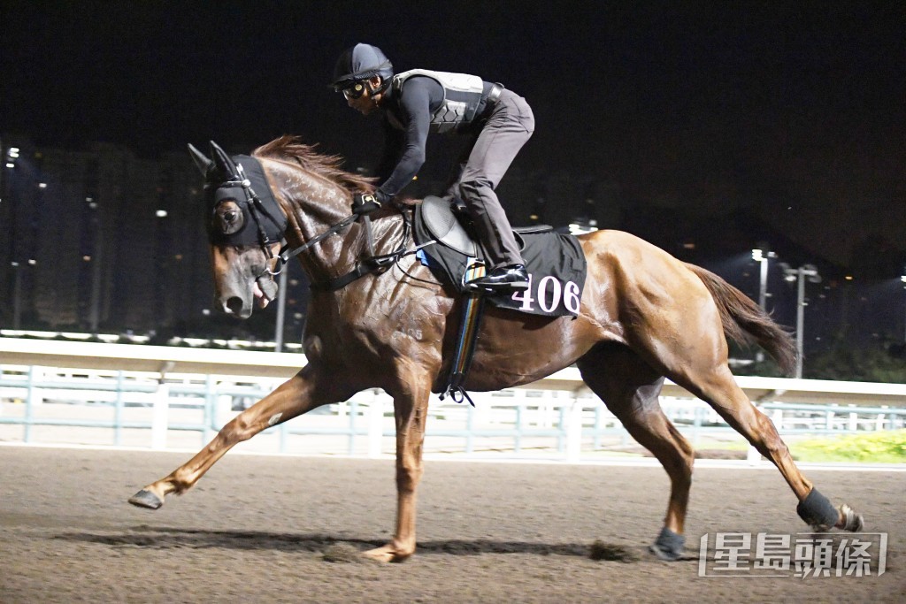 「飛黃」翻步寬闊開揚，論態出色。