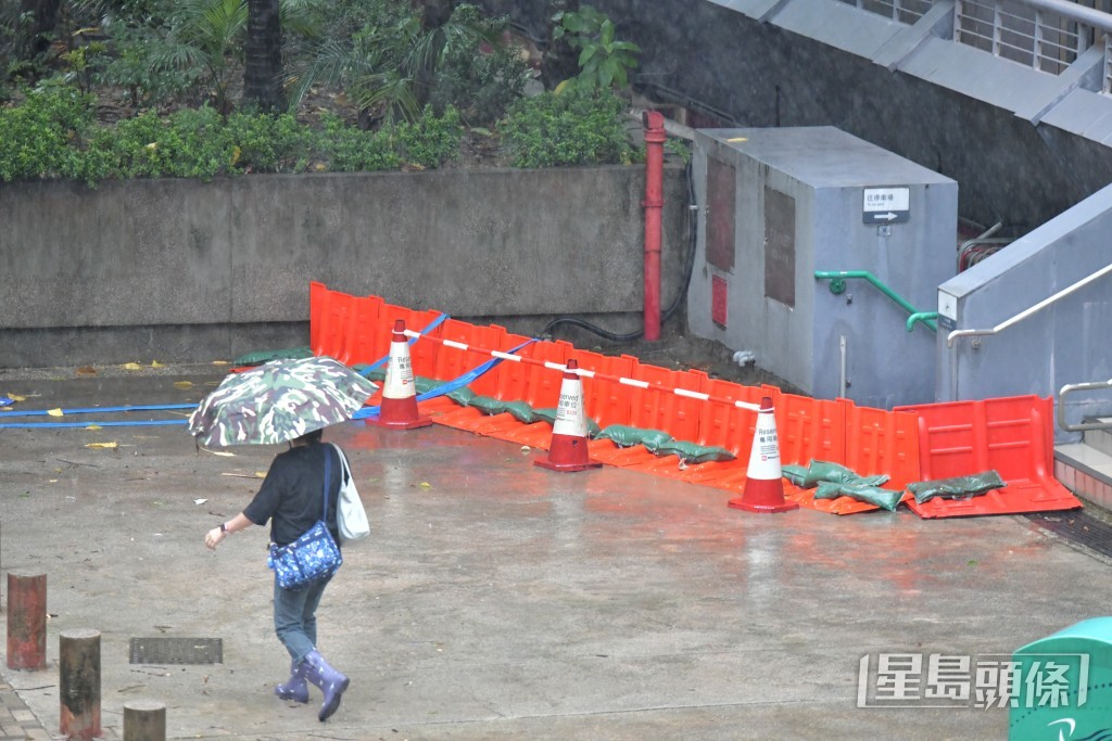 禇樂琪攝