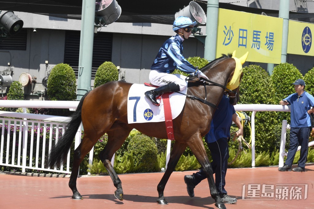 「安定神駒」前仗在田草千二米跑獲季軍。