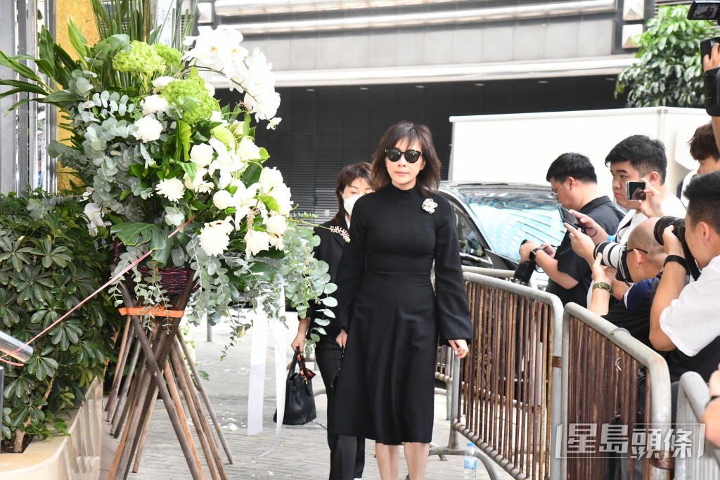 藝人劉嘉玲 藝人劉嘉玲