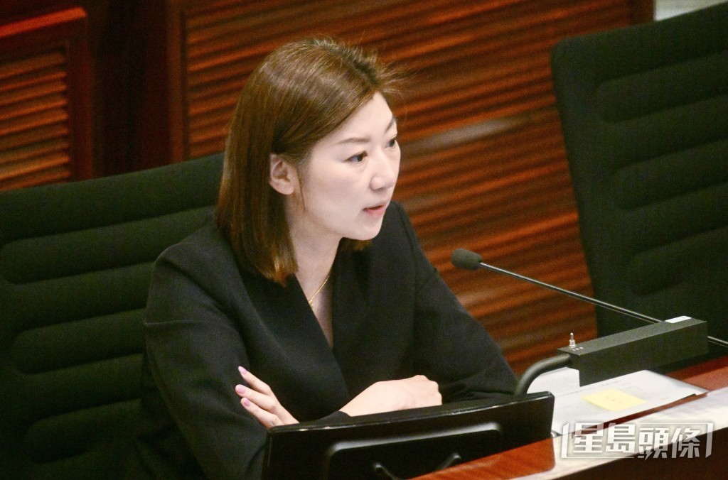 新民黨容海恩。 新民黨容海恩。