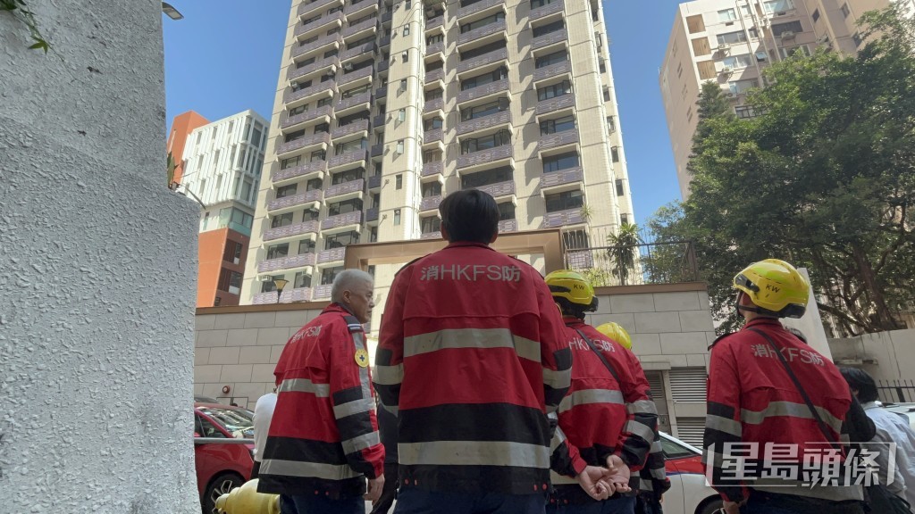 消防亦出動營救。楊偉亨攝