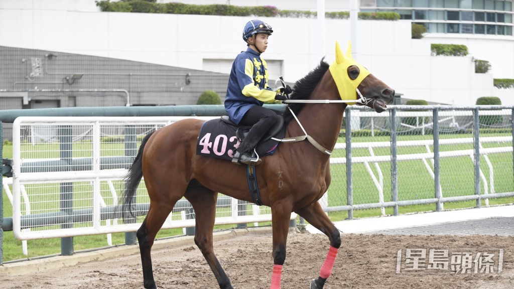 「同喜」沿途捉到實心火湧現，前所未見悅目。