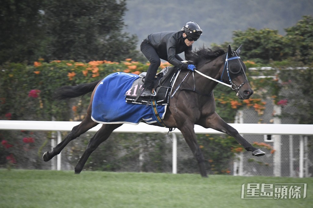 「精彩駿將」充滿了氣勢，持續態勇毫無疲態。