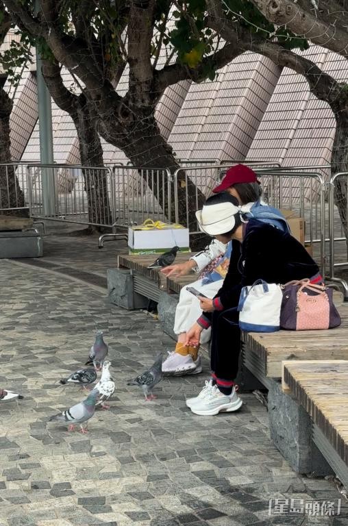 2名女士將手上的食物餵給野鴿。