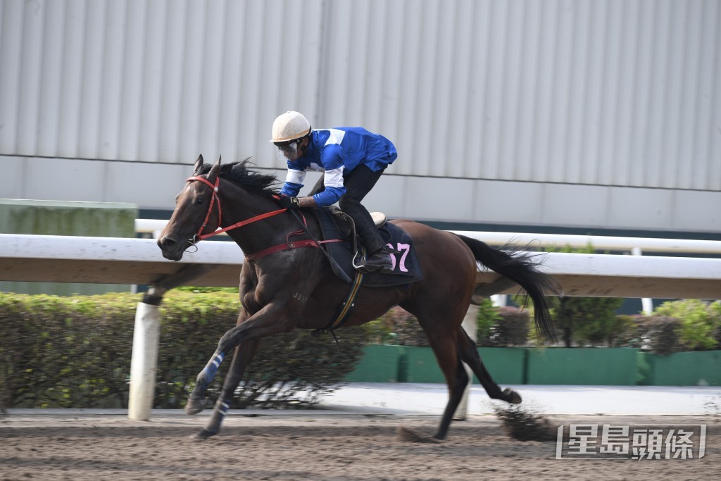 「幸運震撼」只要臨場發揮出操練和試閘的水準，有力爭勝。