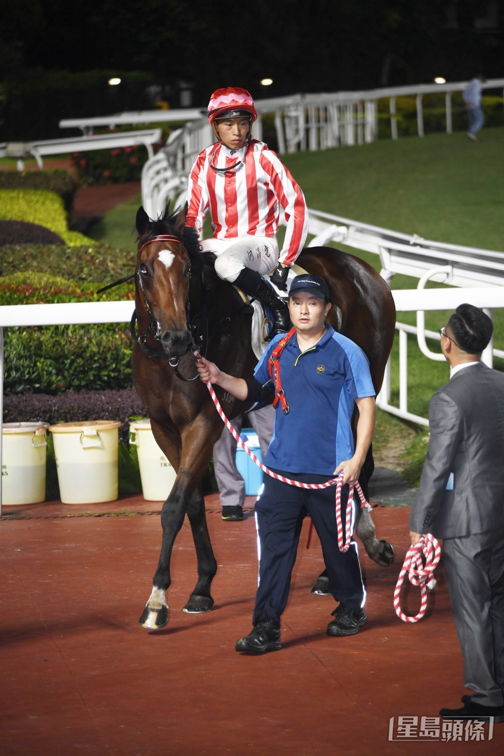 「安康萬里」今仗縮程出戰，有望賺到級數。