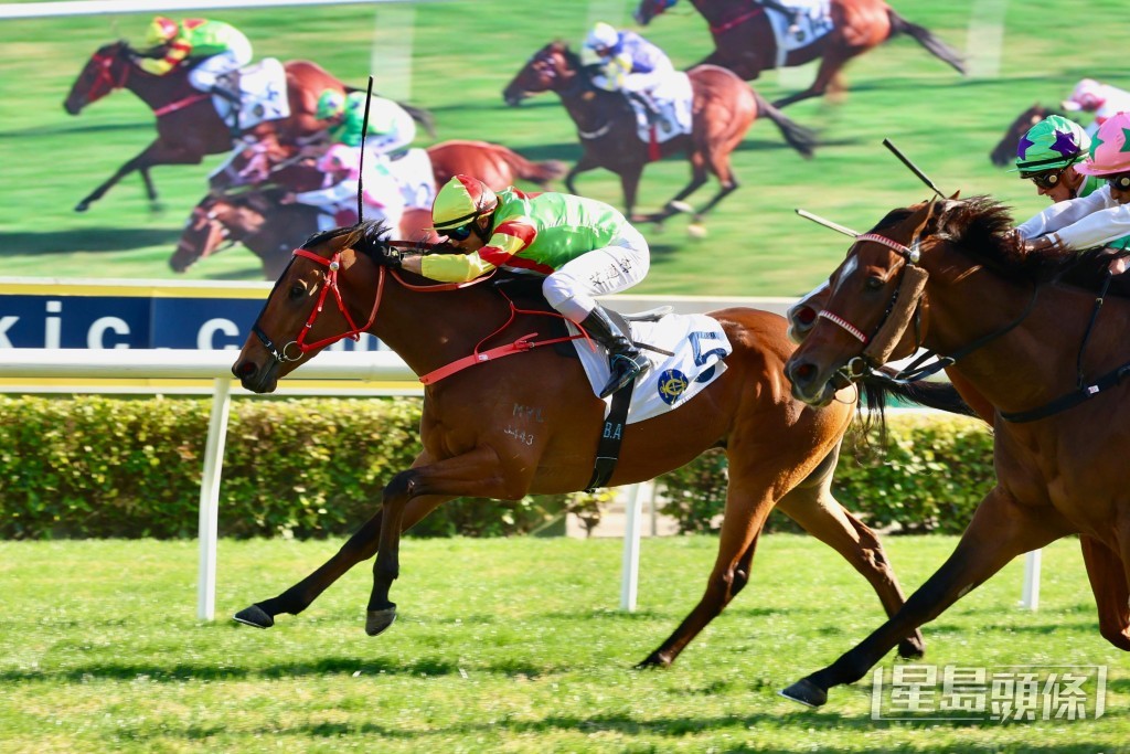 「至尊高超」今次升三班出賽。 「至尊高超」今次升三班出賽。