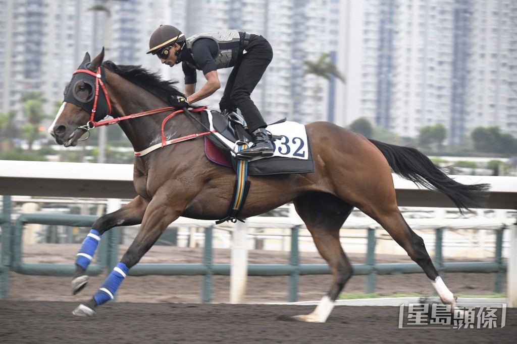 「勝在當下」快慢由人姿態順暢，進度愈見出色。