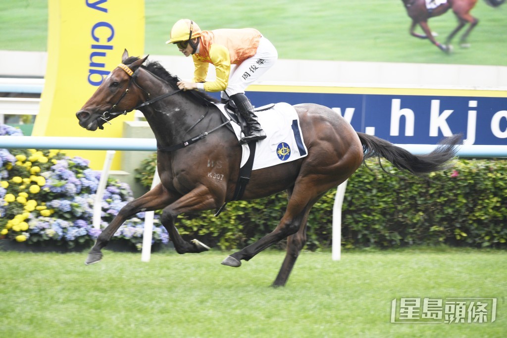 「部族高手」上仗轉廖廄初出即在同程輕鬆贏馬。