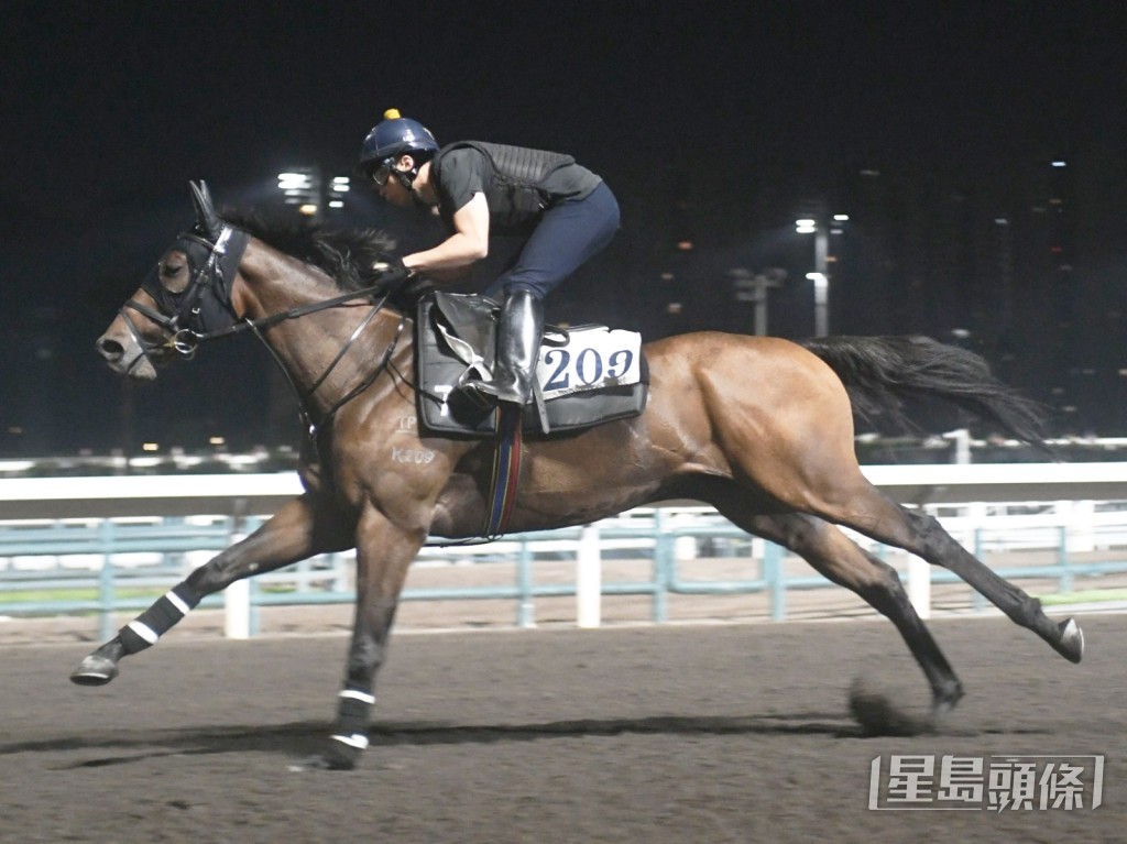 「大浪園田」 「大浪園田」