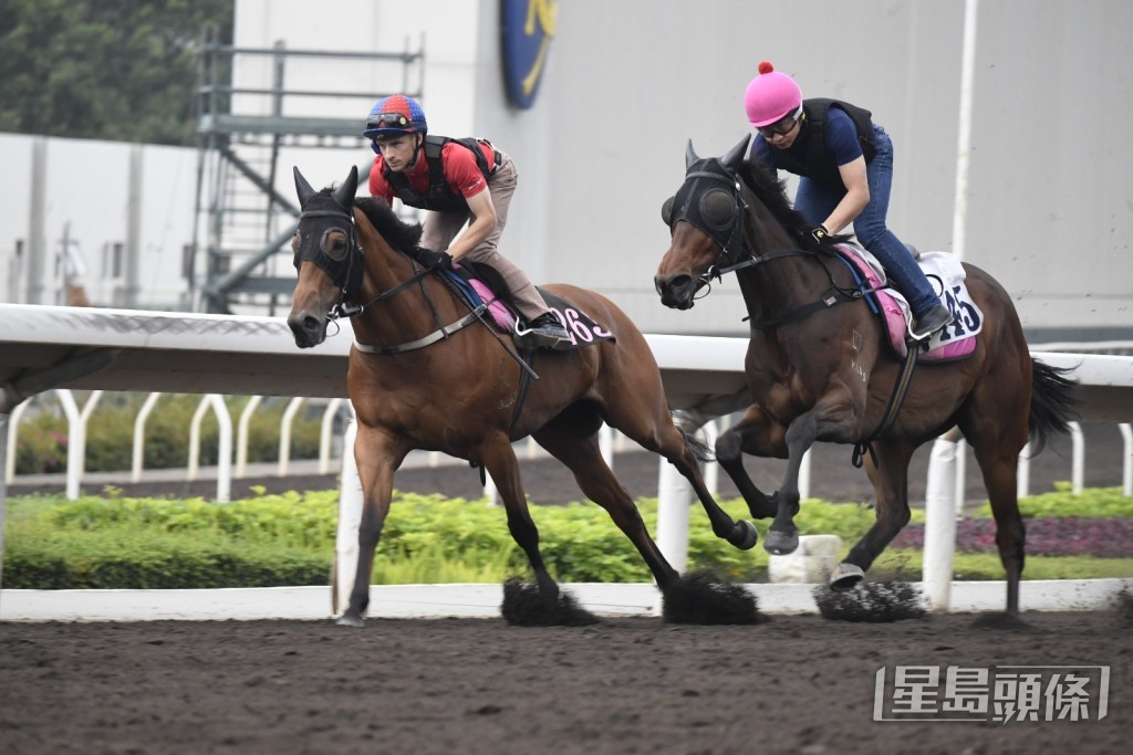 「遥遥领先」（左）今早由希威森主试。