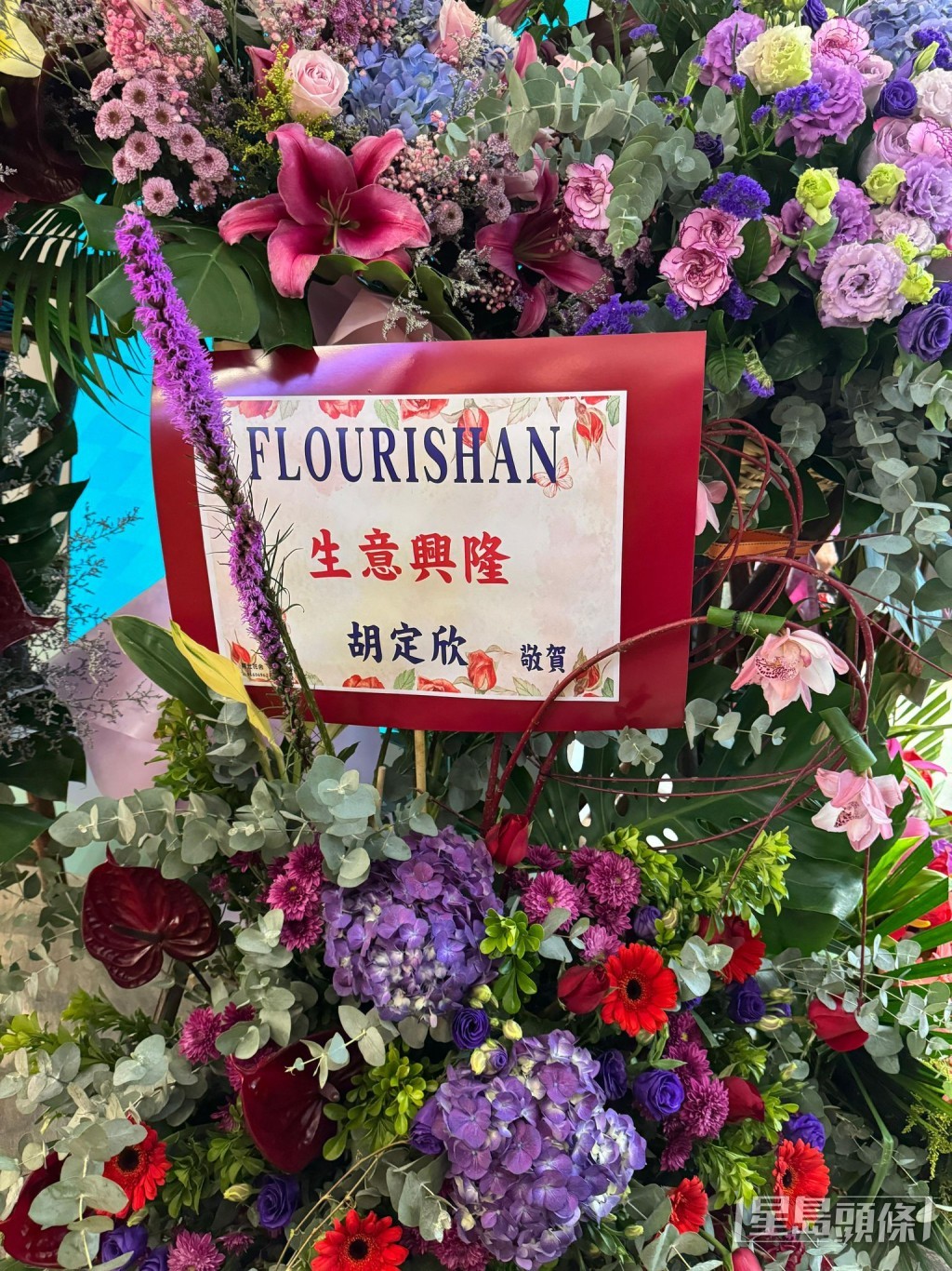 胡定欣花蓝。