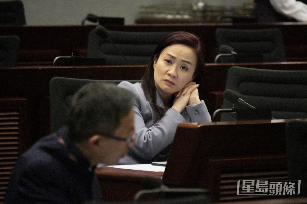 選委界議員陳凱欣。資料圖片 選委界議員陳凱欣。資料圖片