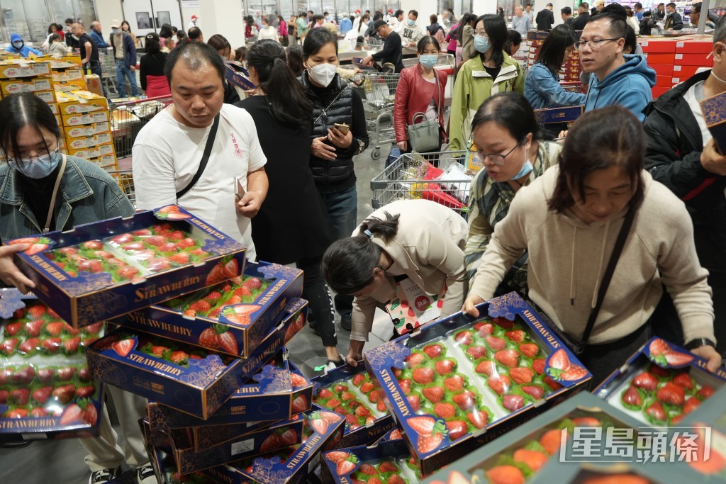 市民收穫豐碩。吳艷玲攝 市民收穫豐碩。吳艷玲攝