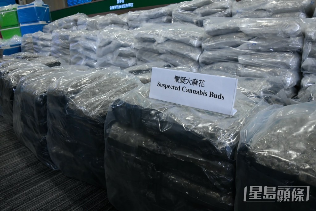 行動中檢獲535公斤大麻花,市值1億2500萬元。楊偉亨攝 行動中檢獲535公斤大麻花,市值1億2500萬元。楊偉亨攝