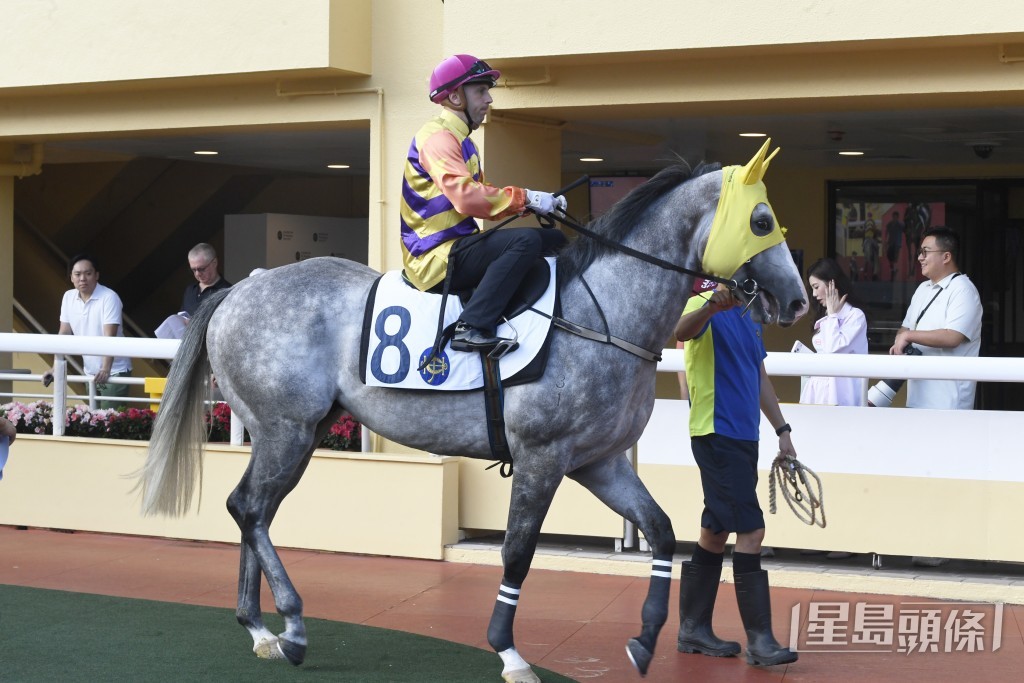 「威利金箭」上仗在港初出跑三班田草千二米，負一三五磅下仍能跟前走入一席亞軍。