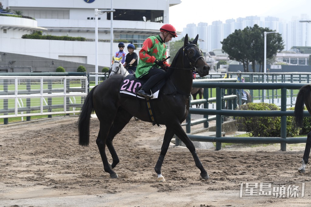 「發財鴻星」今仗縮程出擊，有力取得在港首場頭馬。