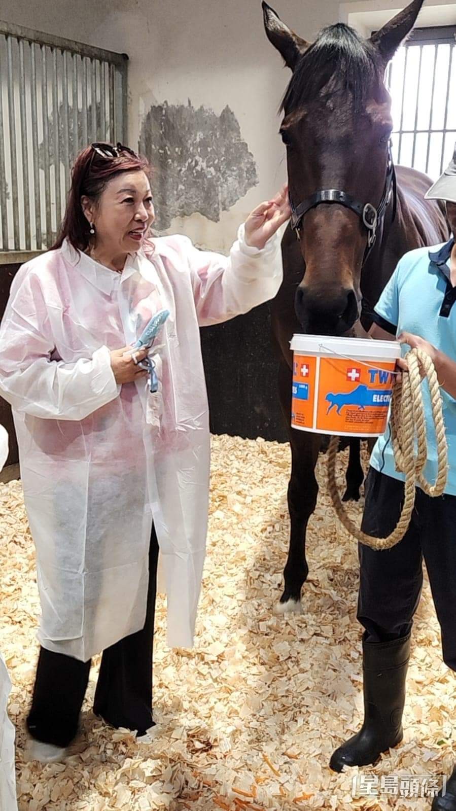 伍燕梅與歐志浩伉儷，參觀從化馬場。