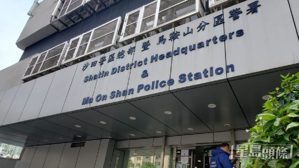 警方強調，為確保區內的治安，沙田警區會繼續保持高調巡邏，致力預防罪行，保障市民生命財產安全。