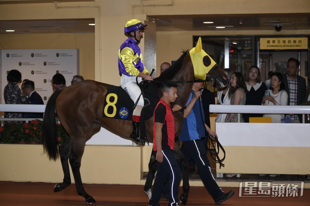 「顏色之皇」全力爭取今季第三場頭馬。