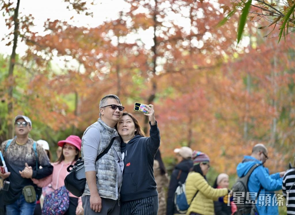 現時每年有1200萬人到訪郊野公園，圖為近日不少市民到大棠賞紅葉。