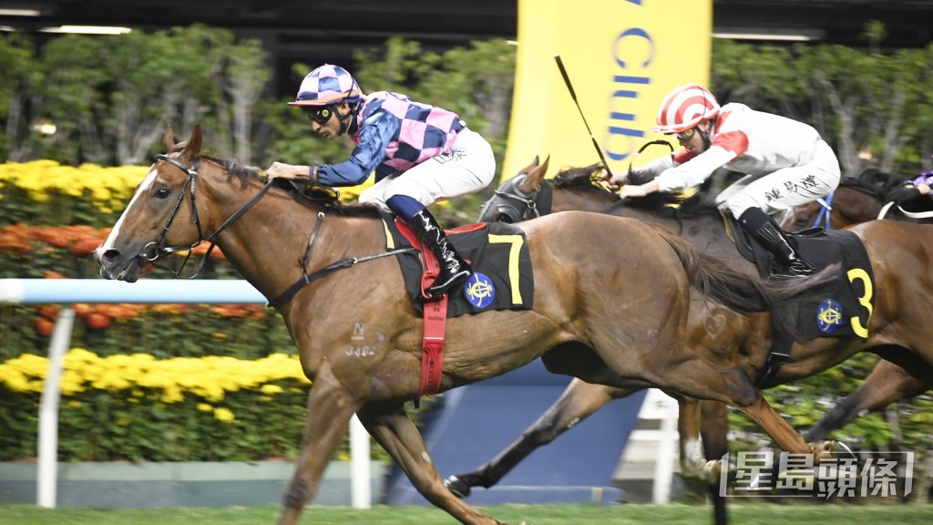 「金牌活力」上仗轉桂廄後初出，即在谷草千二米贏馬。