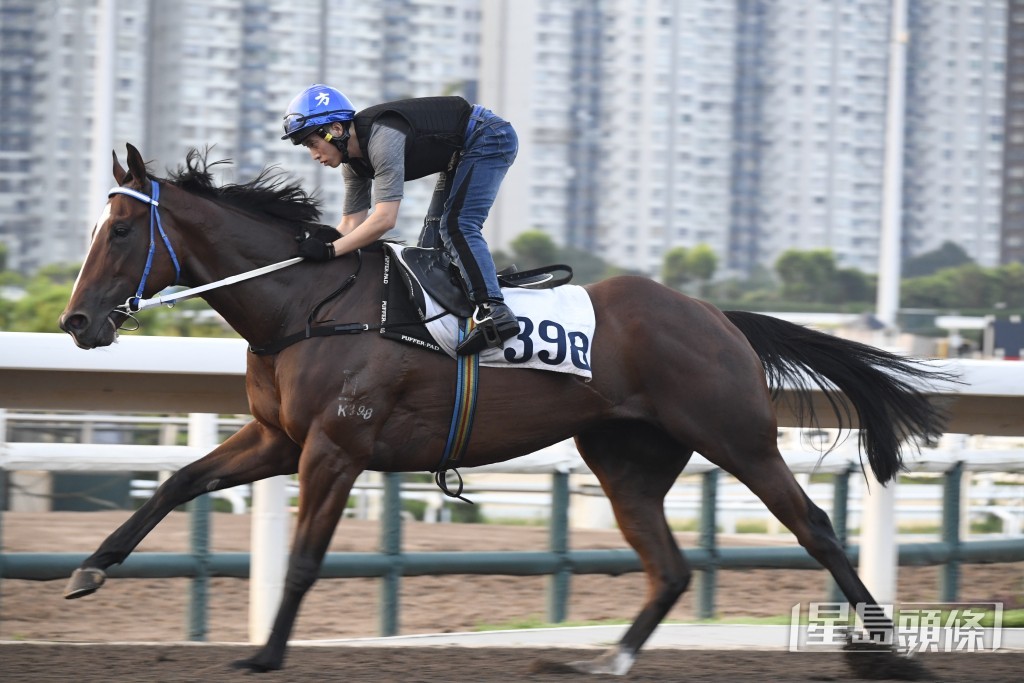 「大千雄心」大大步從容不迫，勝後更進好吸引。