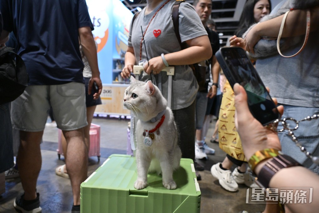 《全港18區狗狗普查2026》啟動禮今日舉行。 《全港18區狗狗普查2026》啟動禮今日舉行。