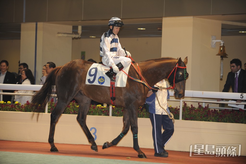 余伯所養的「孖寶神駒」，名字靈感正是來自「乒乓孖寶」李靜及高禮澤。