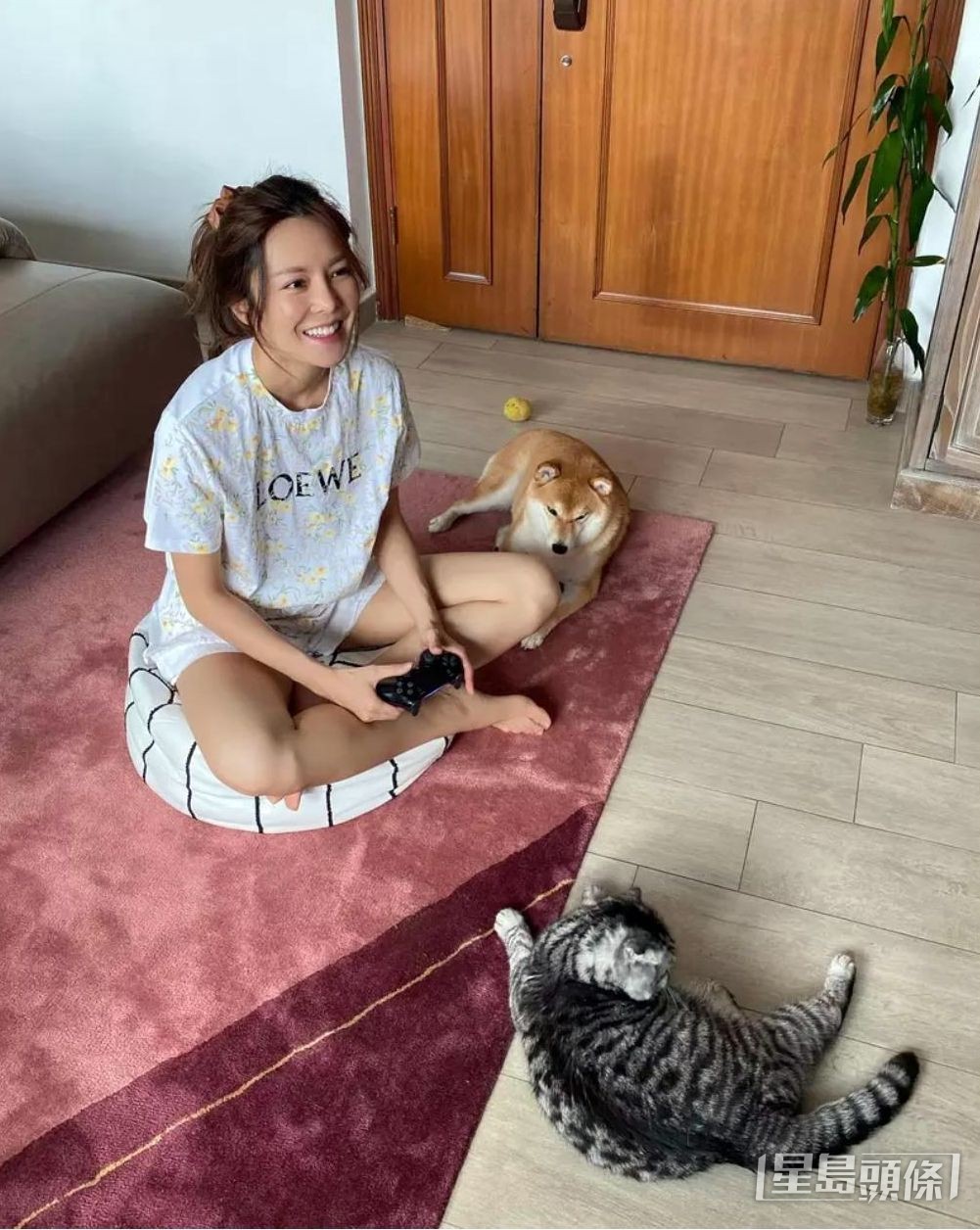 兩人愛巢好舒適。 兩人愛巢好舒適。