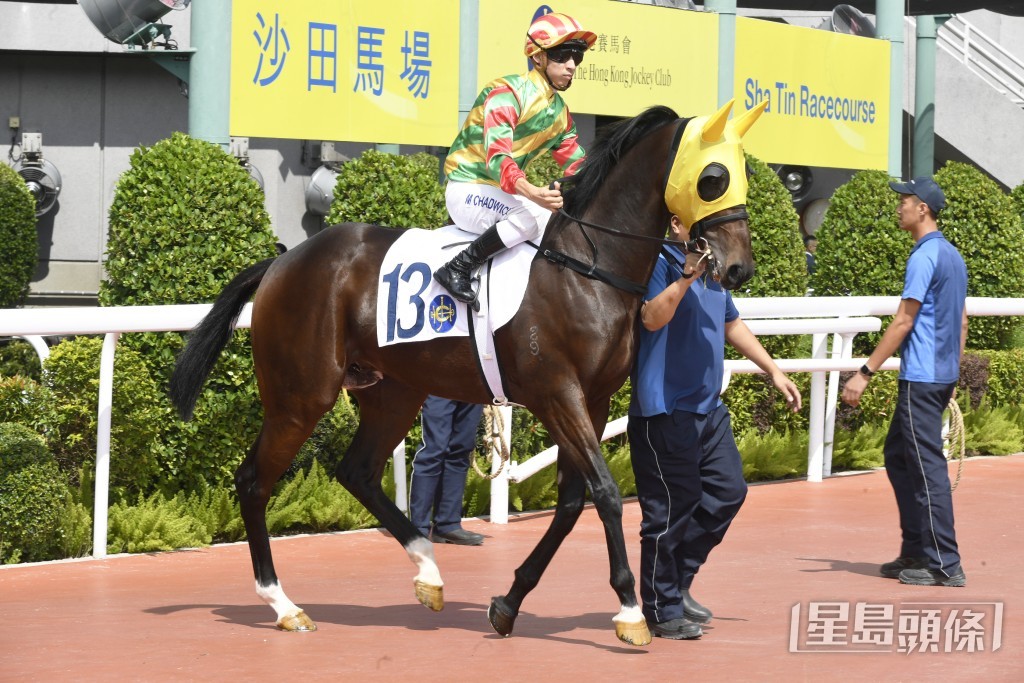 上季田泰安曾伙拍「武林至尊」跑获季军。